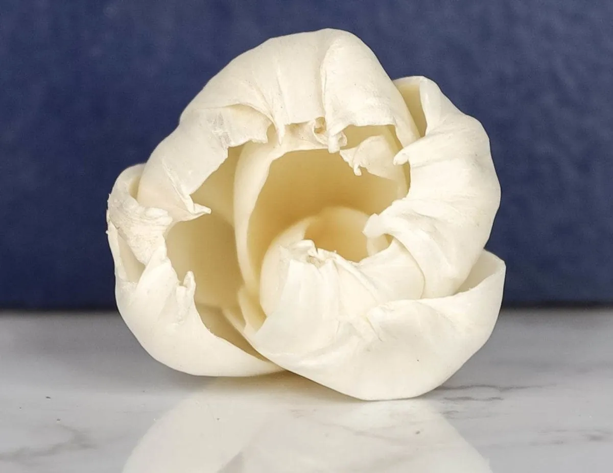 2" Precious Tulip (10 pack)