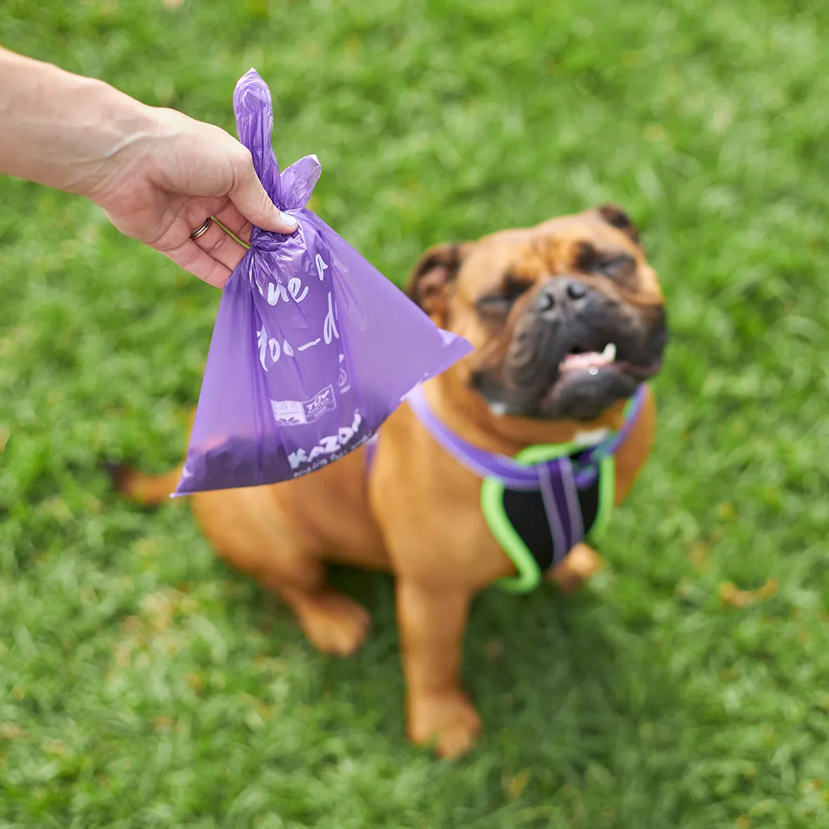 Eco-Friendly Compostable Biodegradable Poop Bags - 100pk