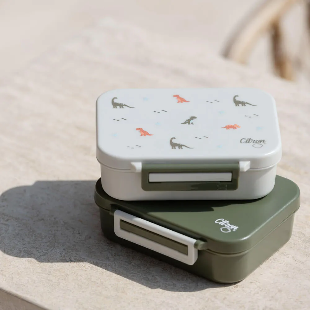 Eco-friendly School Bundle - Dino