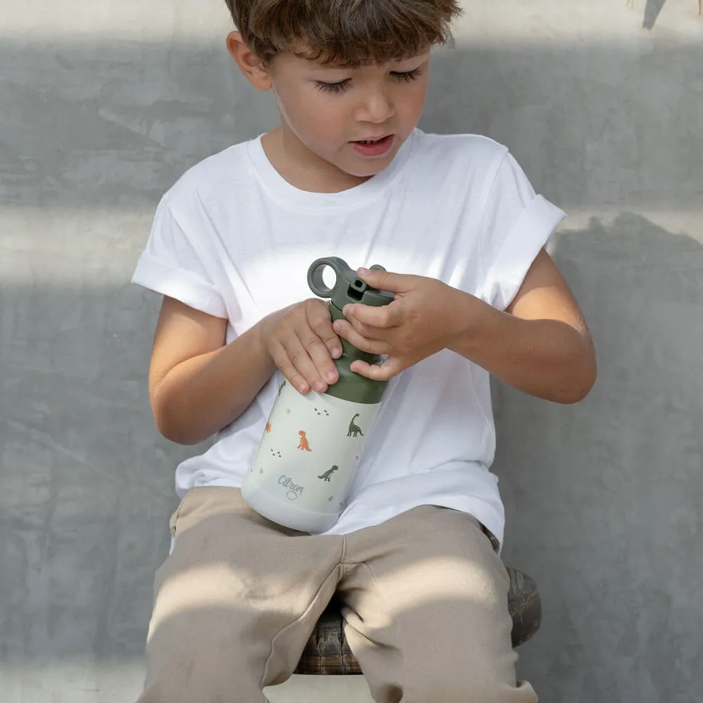 Eco-friendly School Bundle - Dino