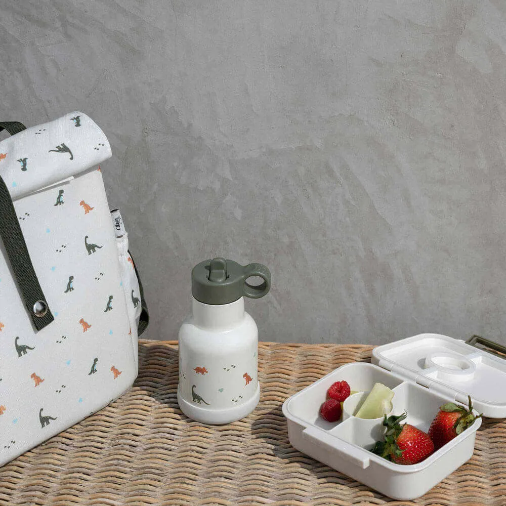 Eco-friendly School Bundle - Dino