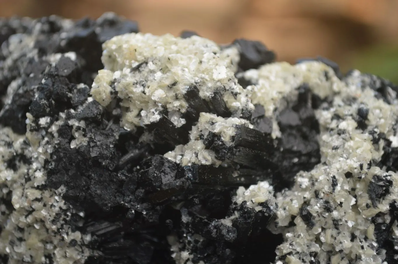 Natural Black Tourmaline Specimen x 1 From Erongo Mountains, Namibia