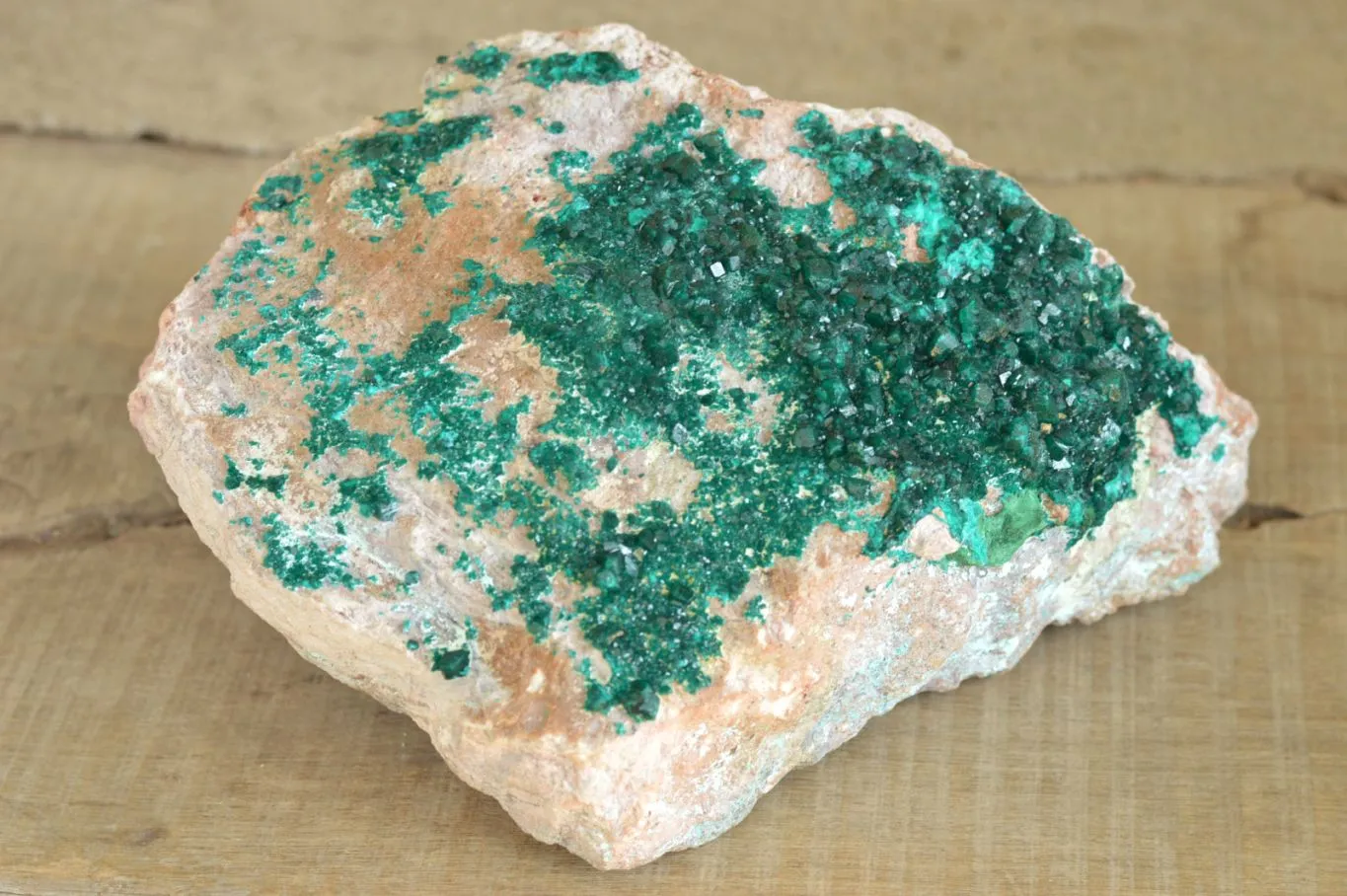 Natural Classic XXL Dioptase Museum Specimen x 1 From Tantara, Congo