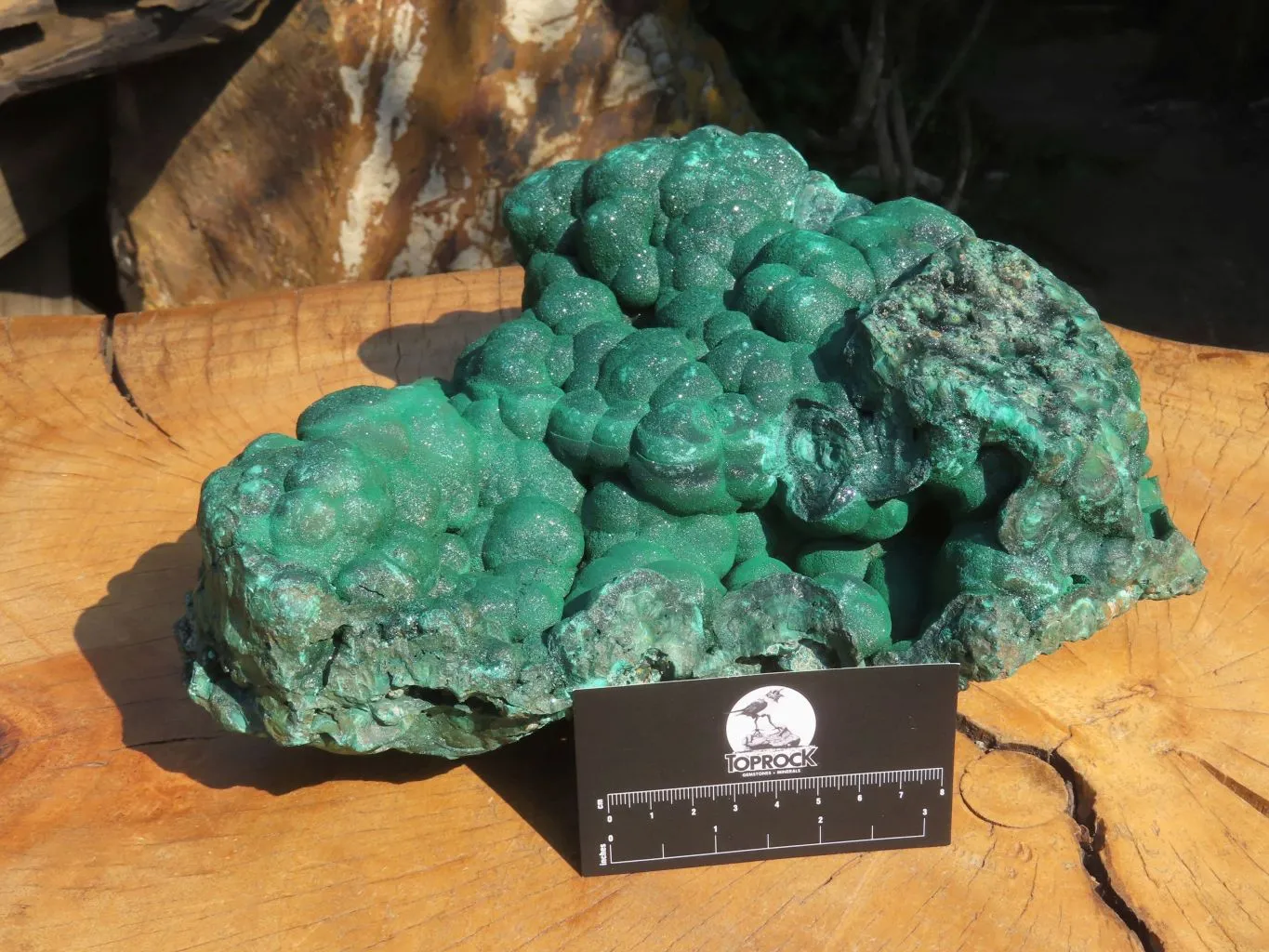 Natural Extra Large Botryoidal Malachite Specimen x 1 From Kolwezi, Congo