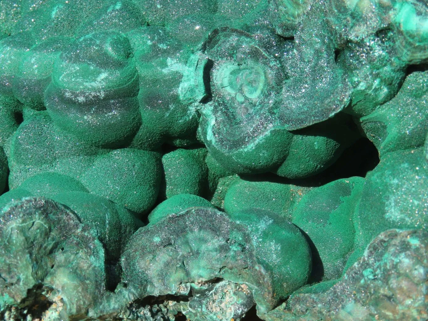 Natural Extra Large Botryoidal Malachite Specimen x 1 From Kolwezi, Congo