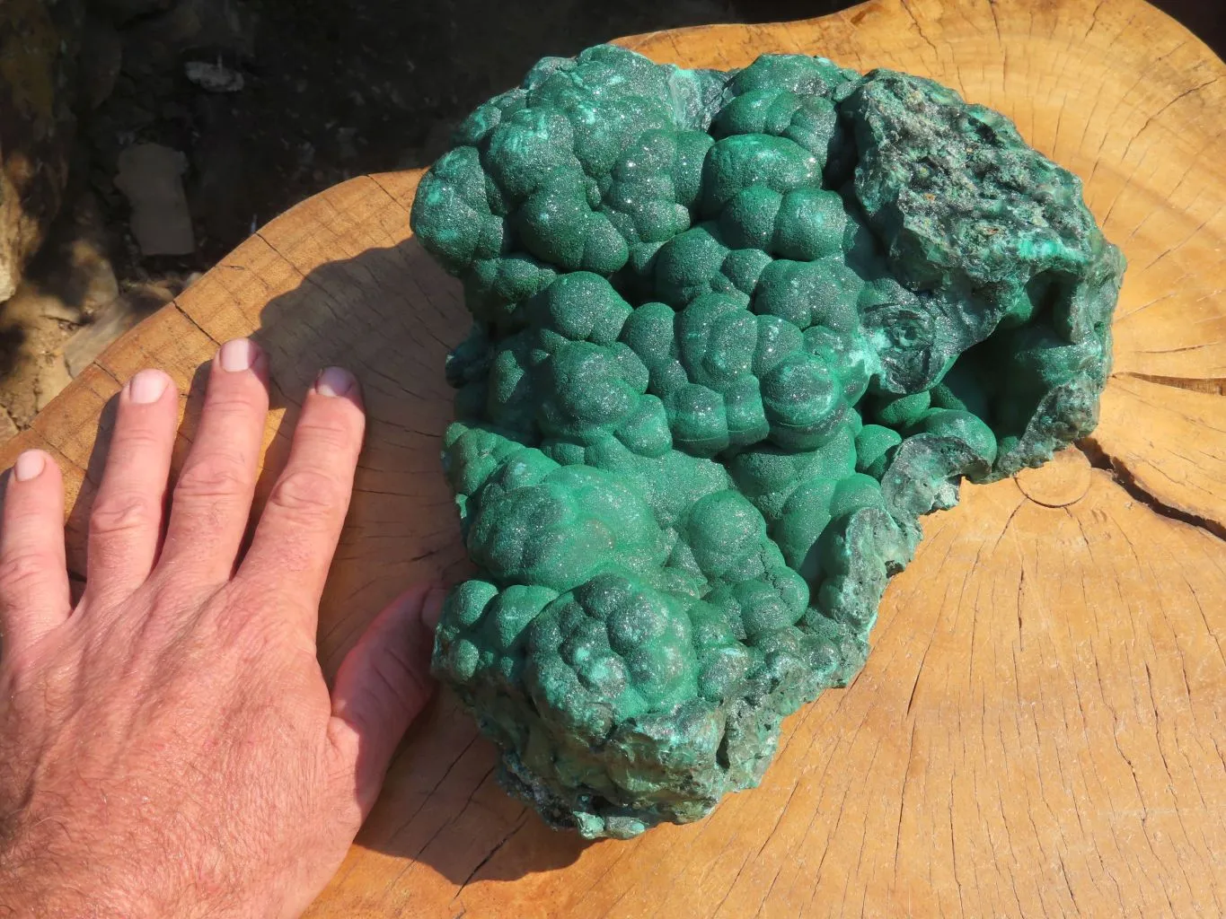 Natural Extra Large Botryoidal Malachite Specimen x 1 From Kolwezi, Congo