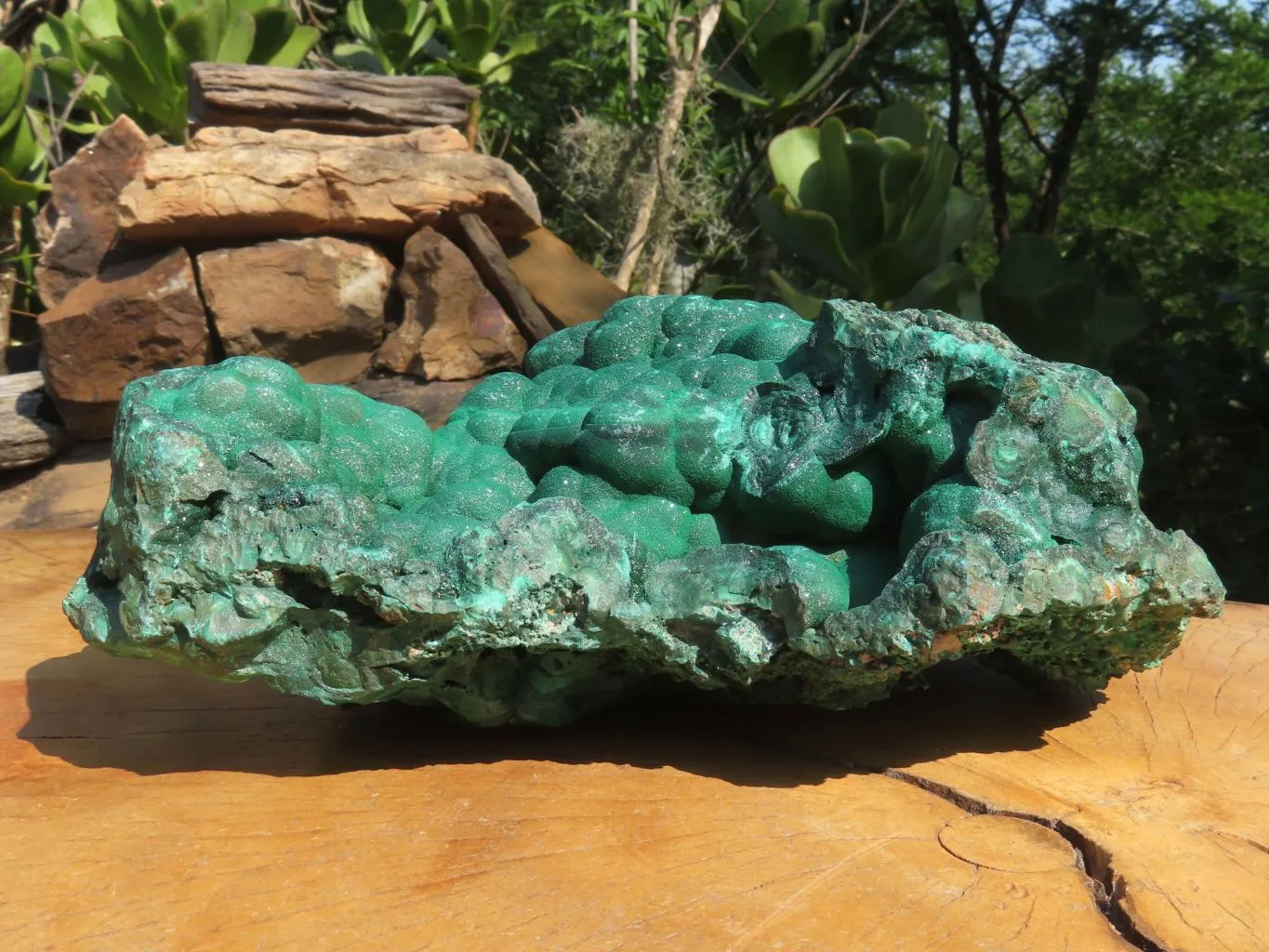Natural Extra Large Botryoidal Malachite Specimen x 1 From Kolwezi, Congo