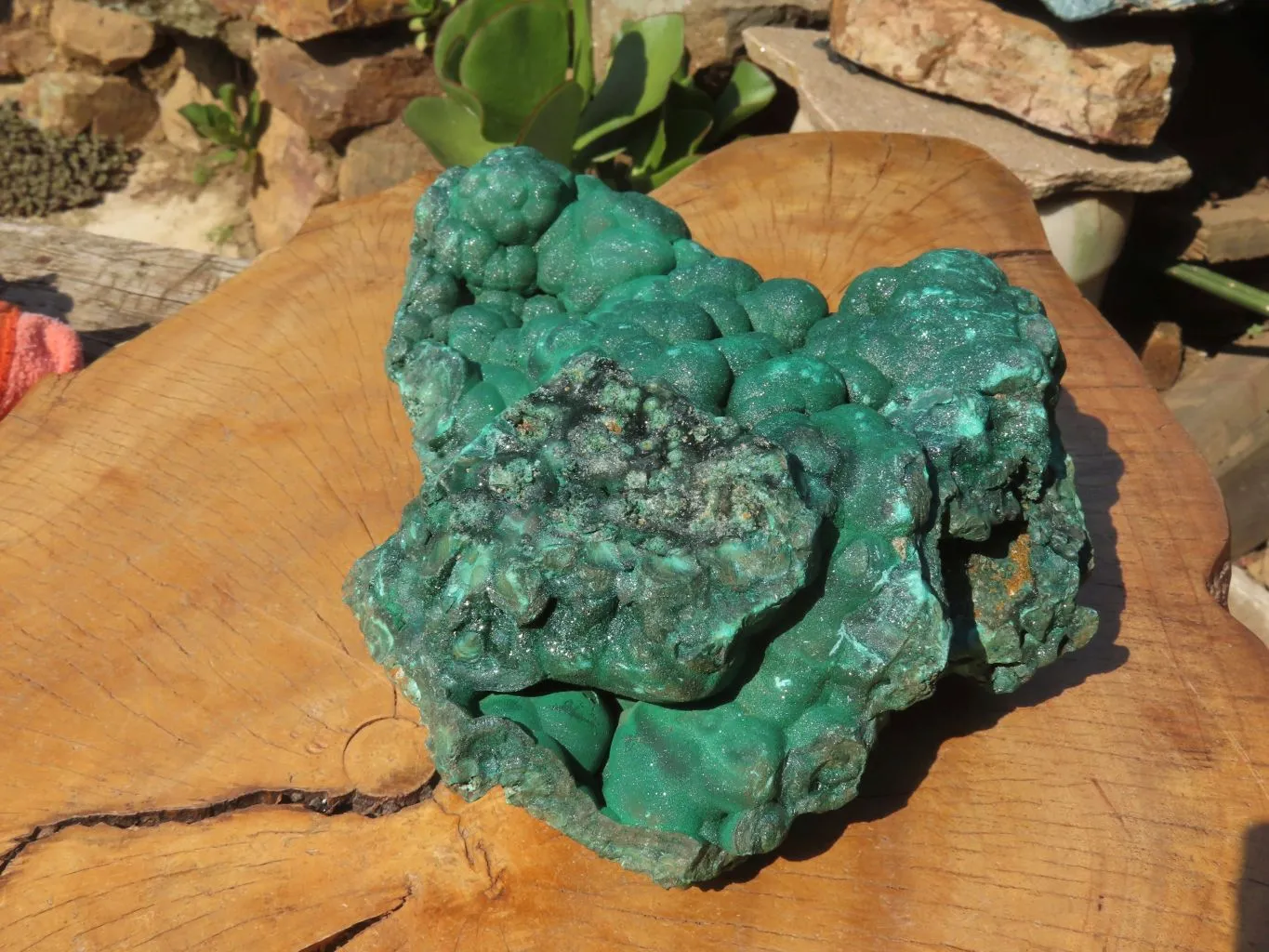 Natural Extra Large Botryoidal Malachite Specimen x 1 From Kolwezi, Congo