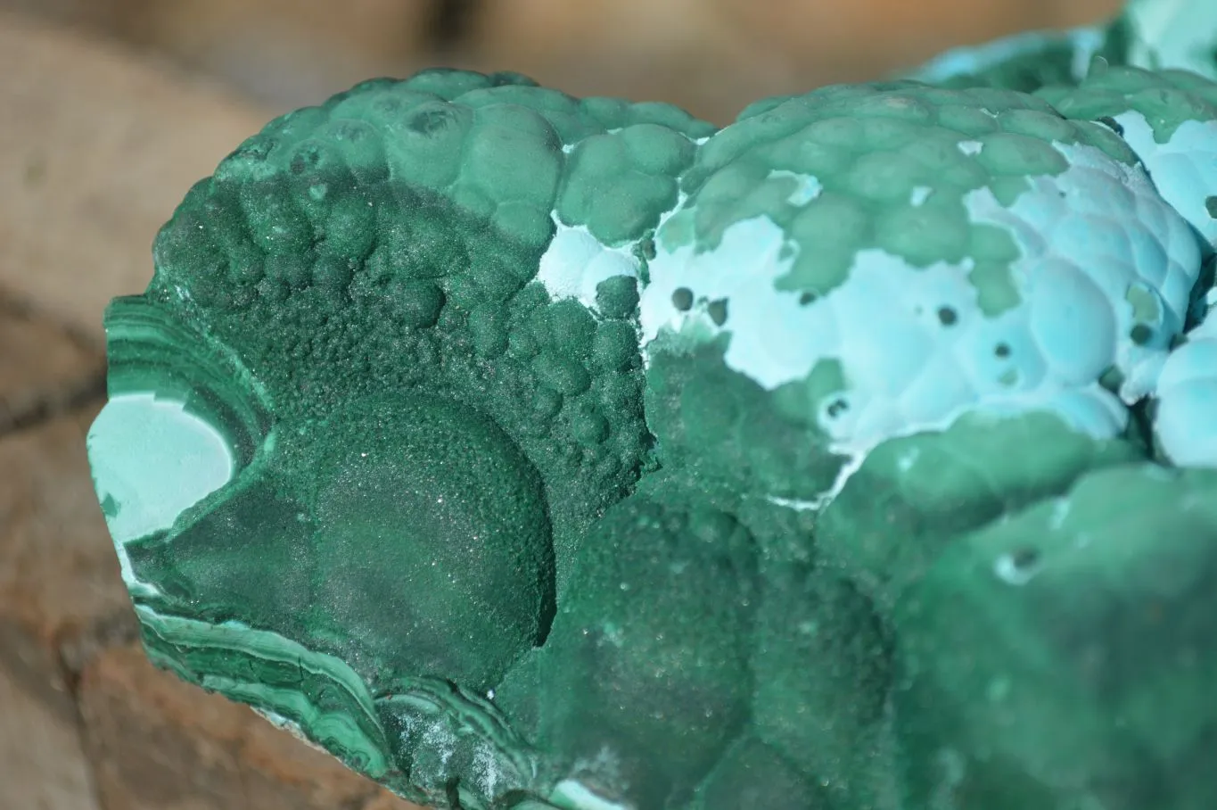 Natural Gorgeous Botryoidal Malacholla Specimen  x 1 From Congo