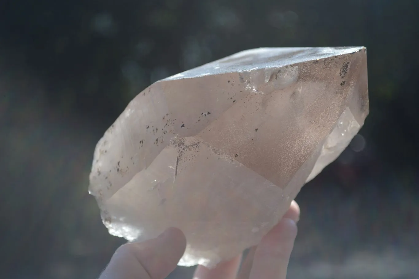 Natural Large Smokey Quartz Floater Crystal Formations x 2 From Mulanje, Malawi