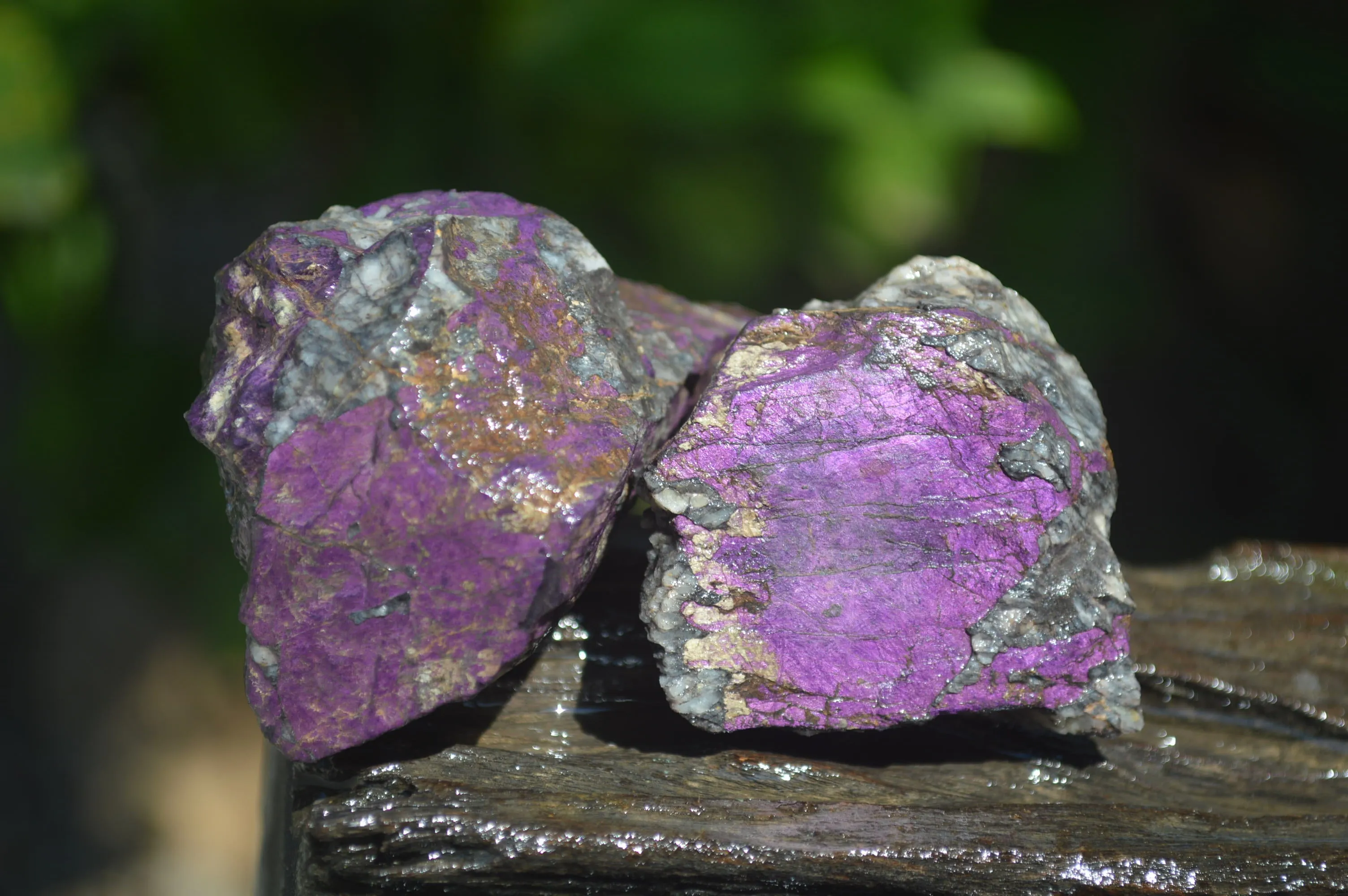 Natural Metallic Purpurite Cobbed Specimens x 15 From Erongo, Namibia