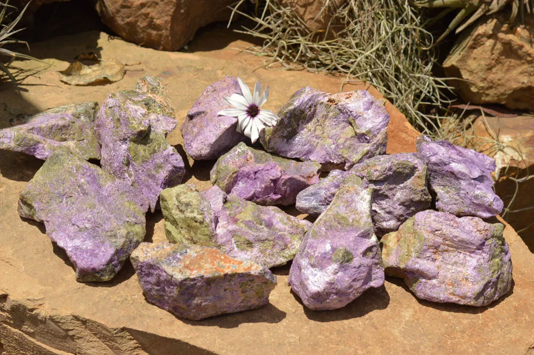 Natural Selected Purple Stichtite Specimens x 21 From Barberton, South Africa