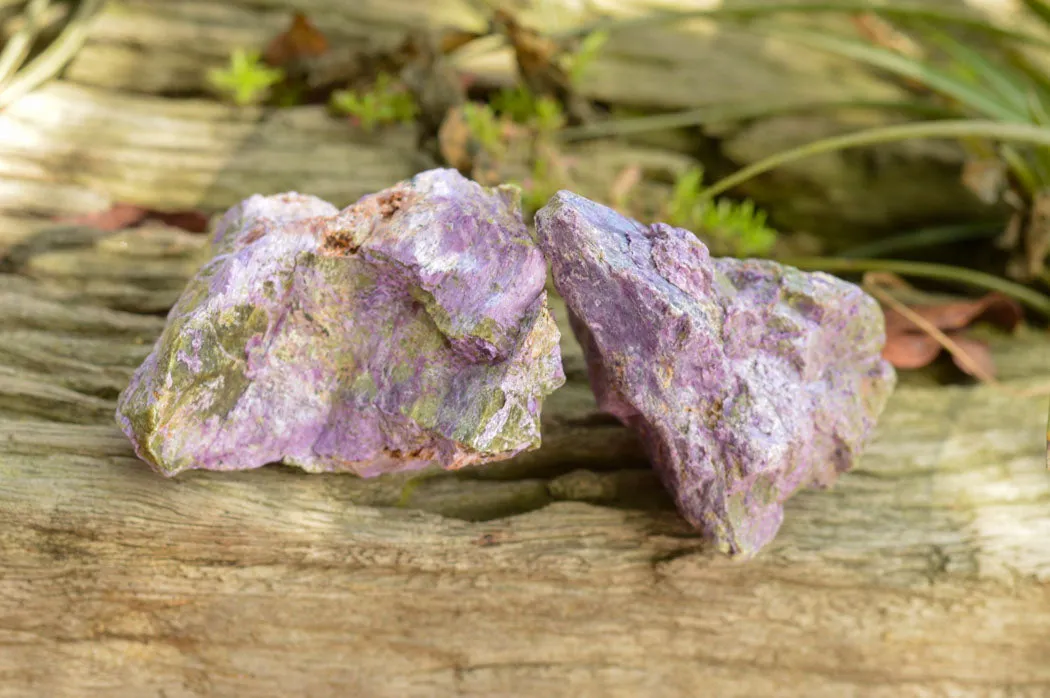 Natural Selected Purple Stichtite Specimens x 21 From Barberton, South Africa