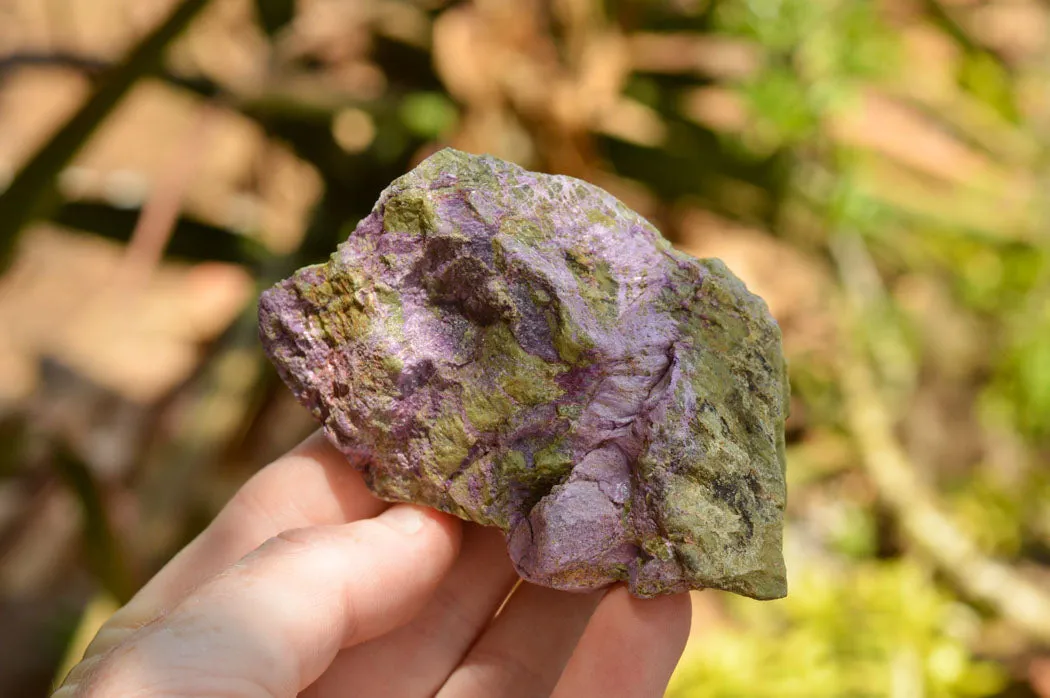 Natural Selected Purple Stichtite Specimens x 21 From Barberton, South Africa
