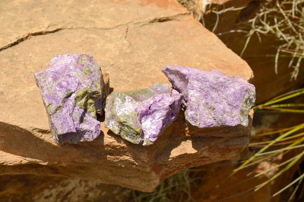 Natural Selected Purple Stichtite Specimens x 21 From Barberton, South Africa
