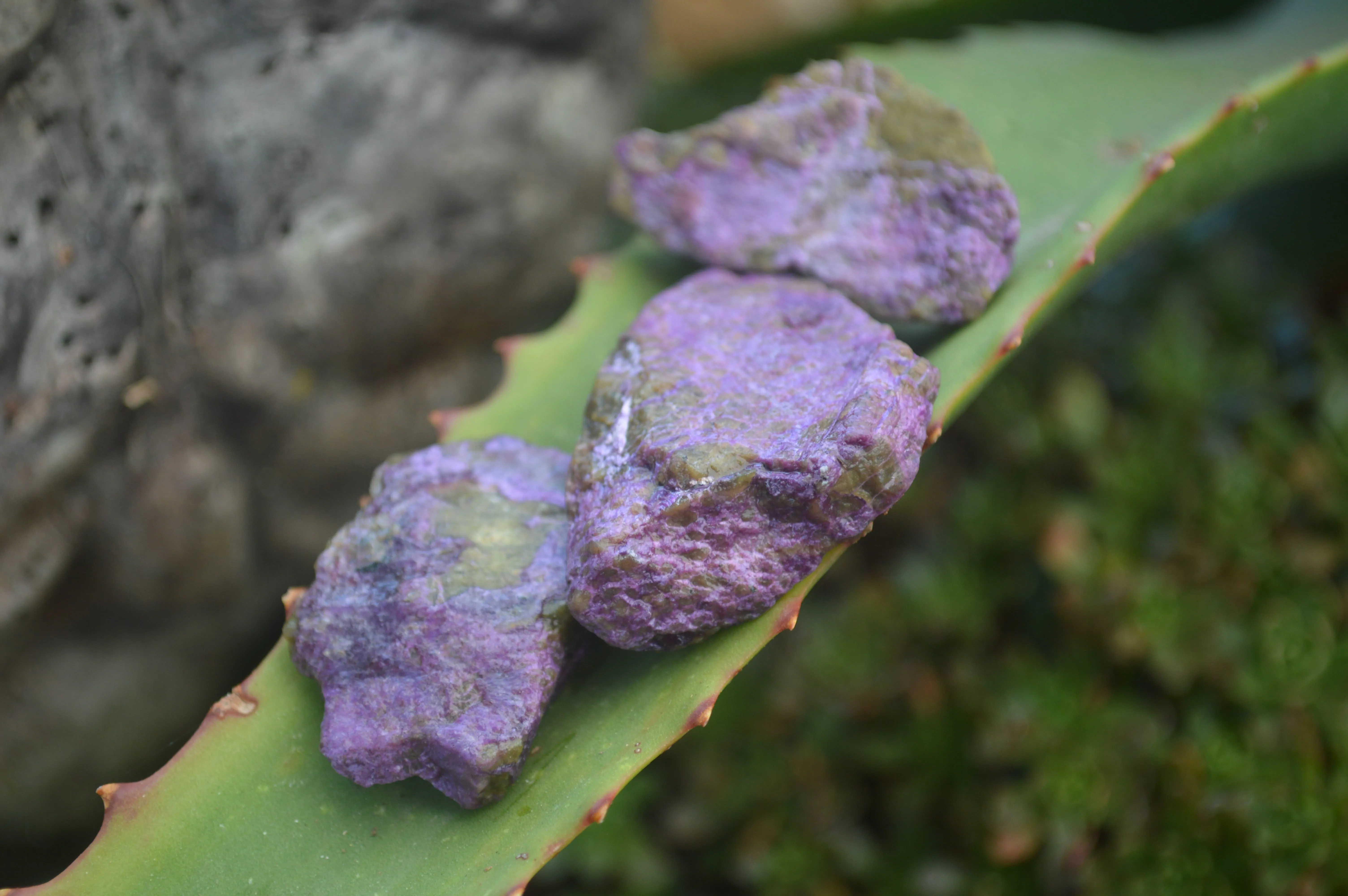 Natural Small Purple Stichtite & Green Serpentine Cobbed Pieces  - Sold per 2 kg (400-600 pieces) - From Barberton, South Africa