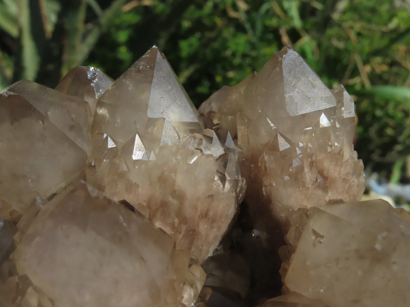 Natural Smokey Phantom Quartz Clusters Or Crystals x 1 From Luena, Congo