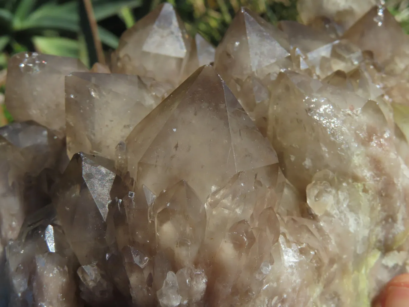 Natural Smokey Phantom Quartz Clusters Or Crystals x 1 From Luena, Congo