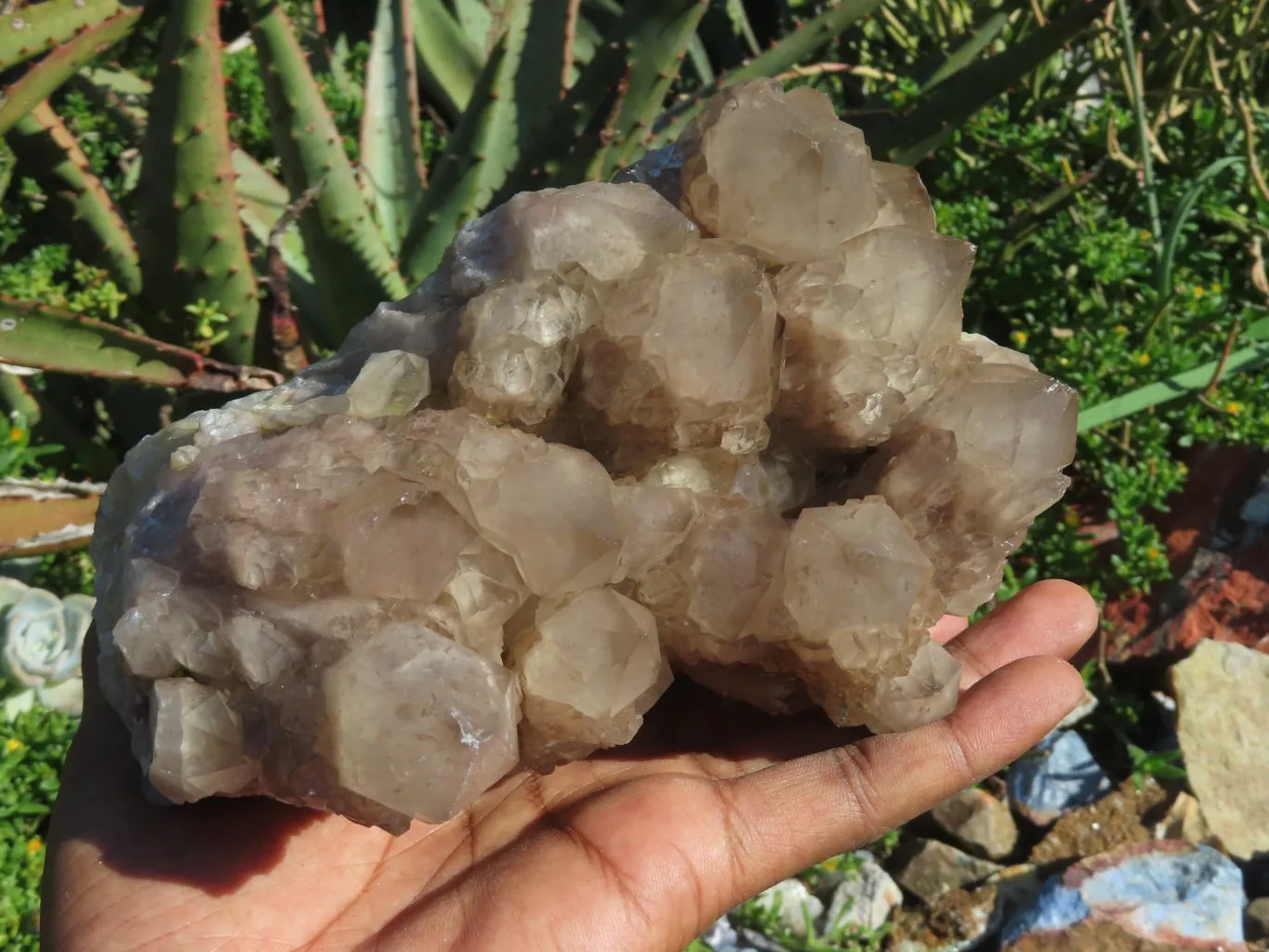 Natural Smokey Phantom Quartz Clusters Or Crystals x 1 From Luena, Congo