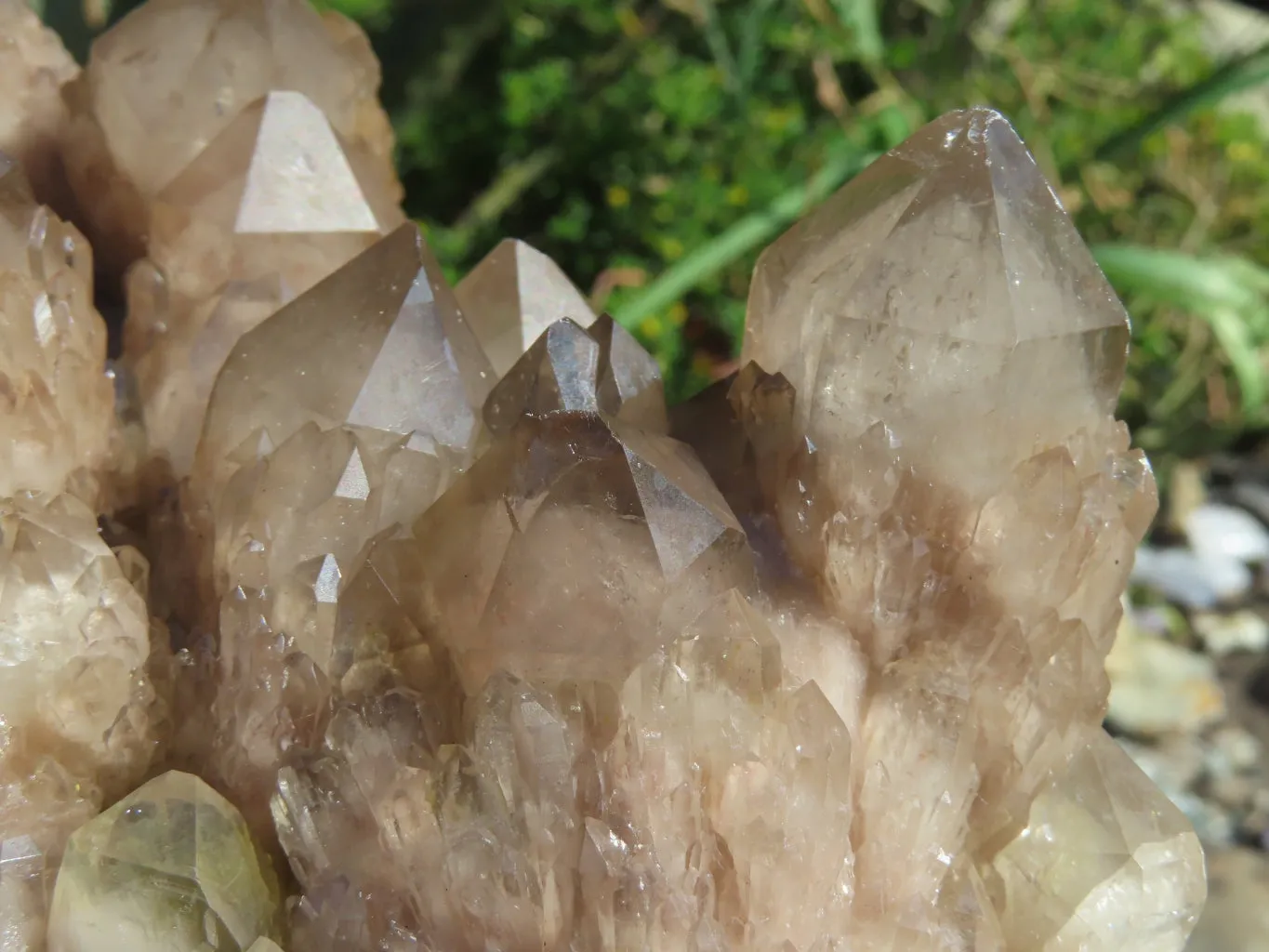 Natural Smokey Phantom Quartz Clusters Or Crystals x 1 From Luena, Congo