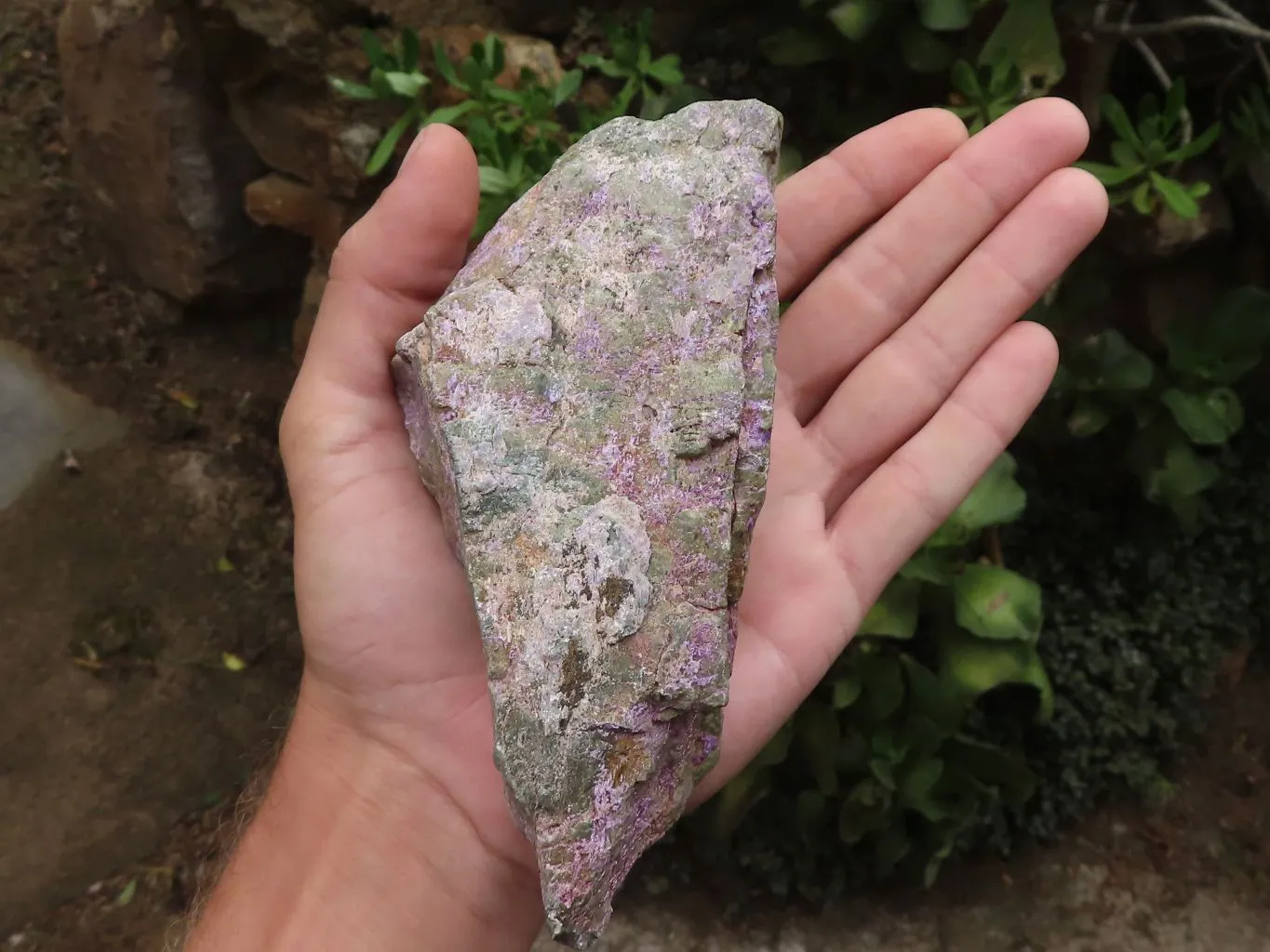 Natural Stichtite & Serpentine Specimens With Silky Purple Threads x 6 From Barberton, South Africa