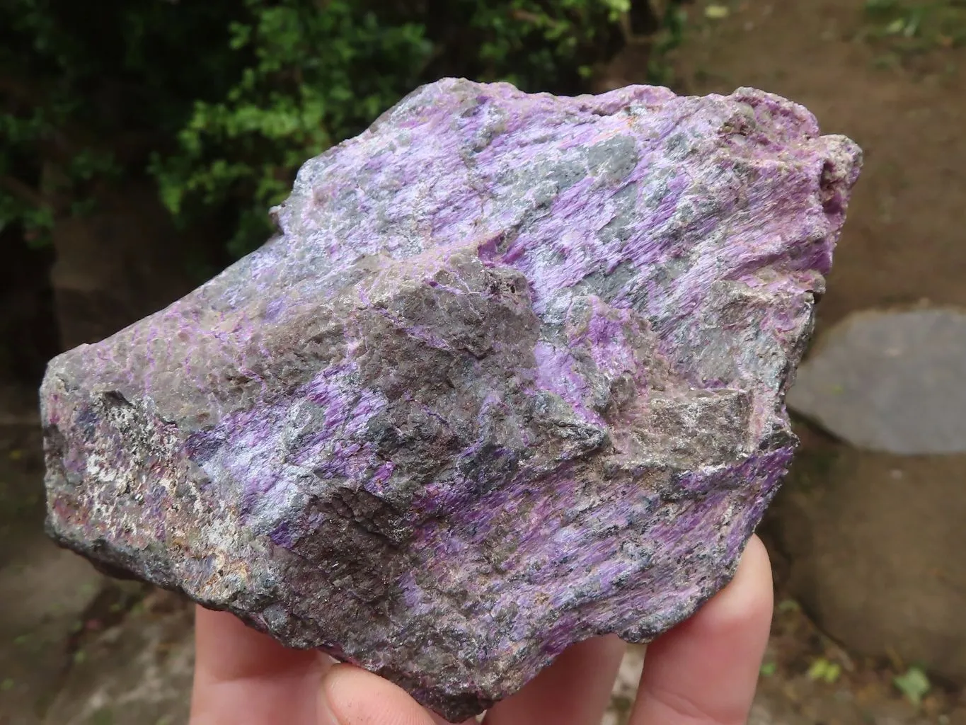 Natural Stichtite & Serpentine Specimens With Silky Purple Threads x 6 From Barberton, South Africa