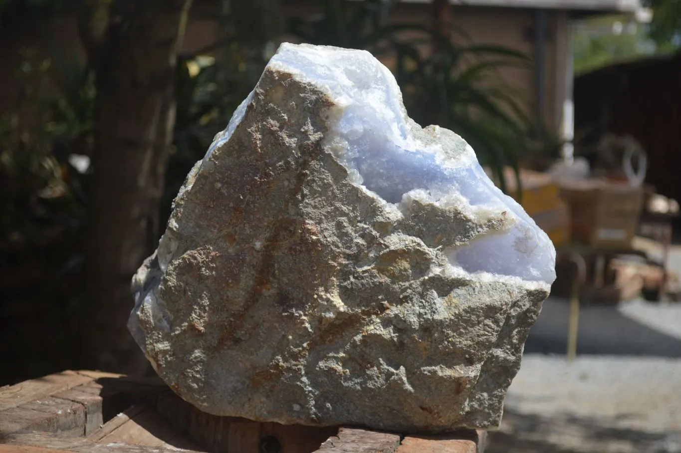 Natural XXL Blue Lace Agate Geode Specimen x 1 From Malawi