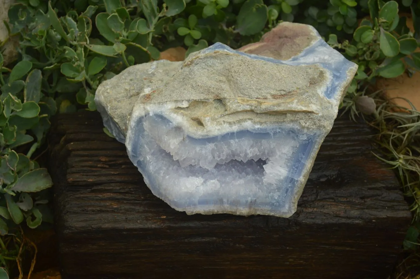 Natural XXL Blue Lace Agate Geode Specimen x 1 From Malawi