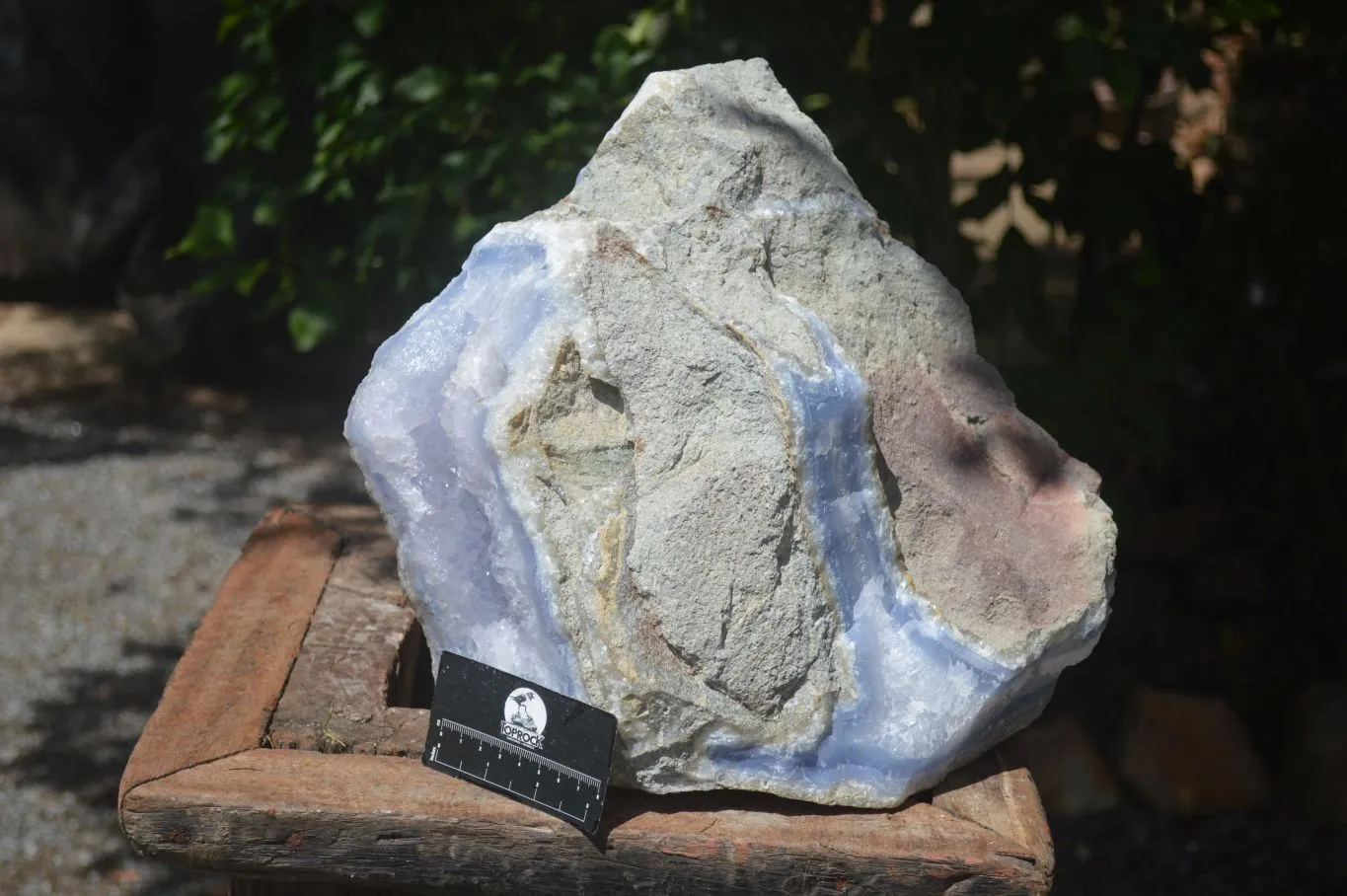 Natural XXL Blue Lace Agate Geode Specimen x 1 From Malawi