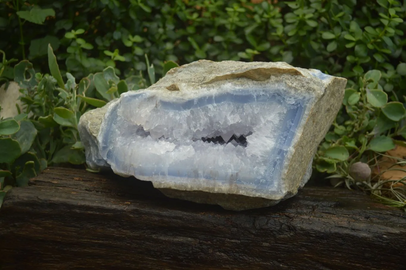 Natural XXL Blue Lace Agate Geode Specimen x 1 From Malawi