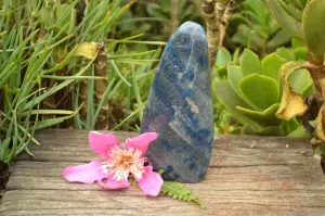 Polished Blue Spotted Spinel "Dalmatian Stone" Standing Free Form x 1 From Madagascar