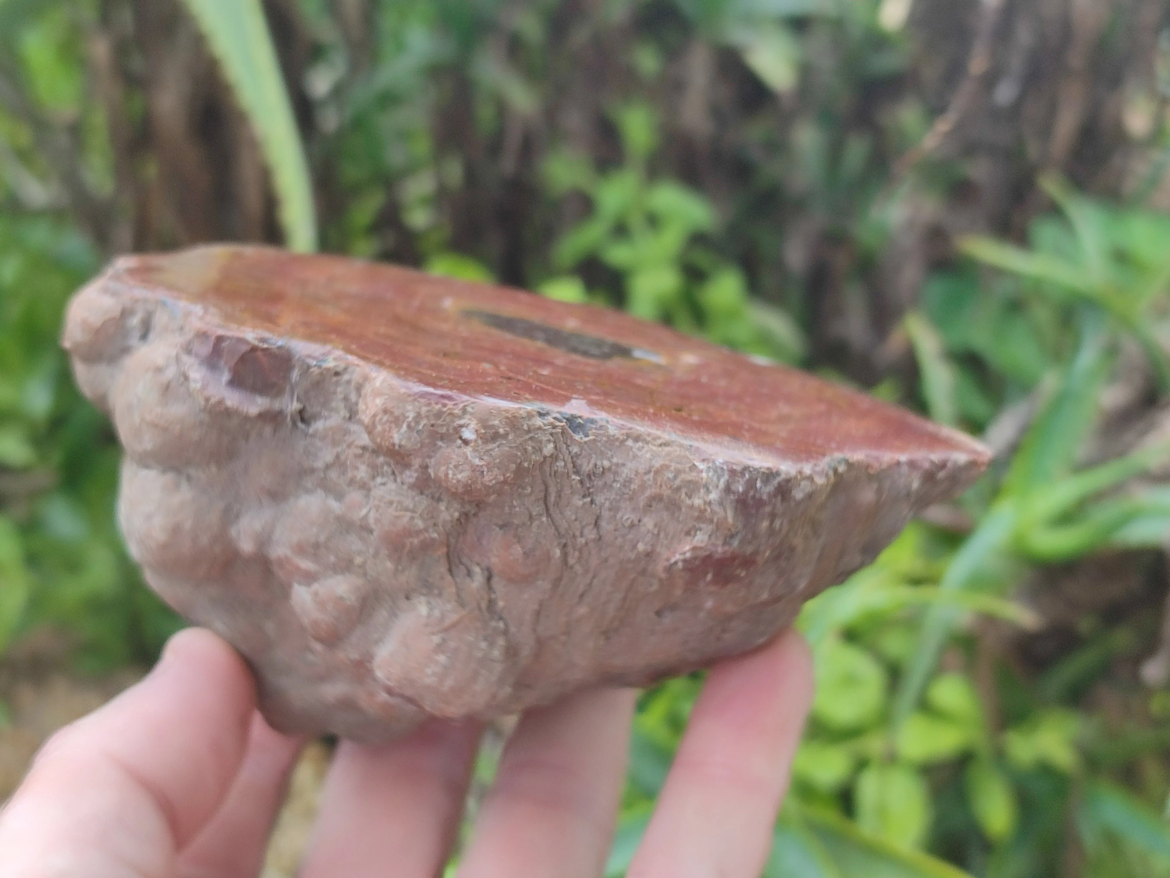 Polished Iron Agate Nodule Pair x 1 From Northern Cape, South Africa
