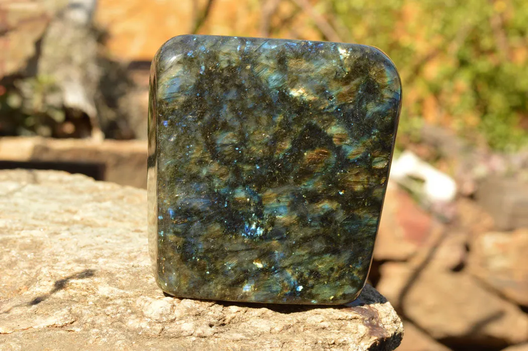 Polished Labradorite Standing Free Form With Spotted Blue & Gold Flash x 1 From Sakoany, Madagascar