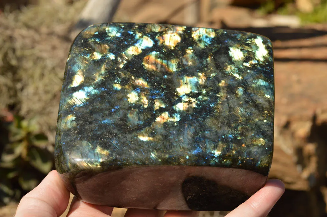 Polished Labradorite Standing Free Form With Spotted Blue & Gold Flash x 1 From Sakoany, Madagascar