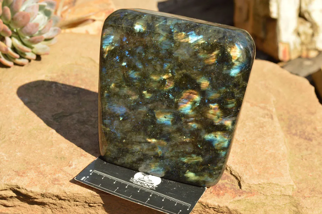 Polished Labradorite Standing Free Form With Spotted Blue & Gold Flash x 1 From Sakoany, Madagascar