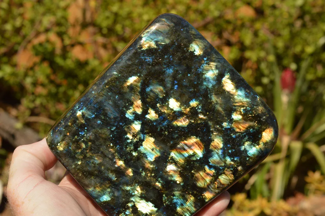Polished Labradorite Standing Free Form With Spotted Blue & Gold Flash x 1 From Sakoany, Madagascar