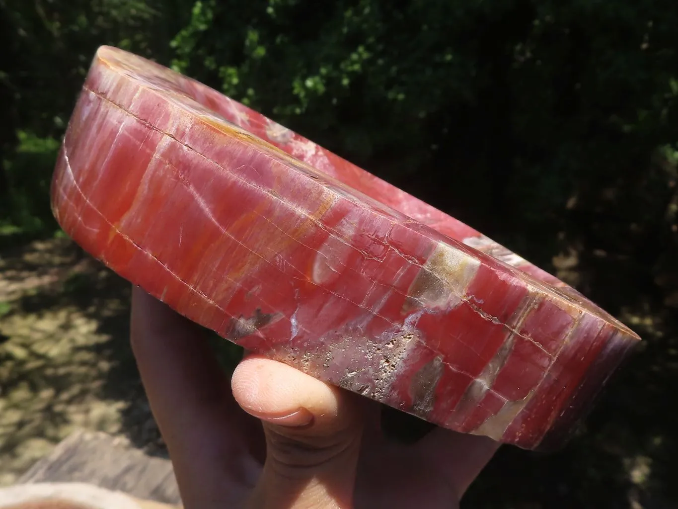 Polished Petrified Red Podocarpus Wood Dish x 1 From Mahajanga, Madagascar
