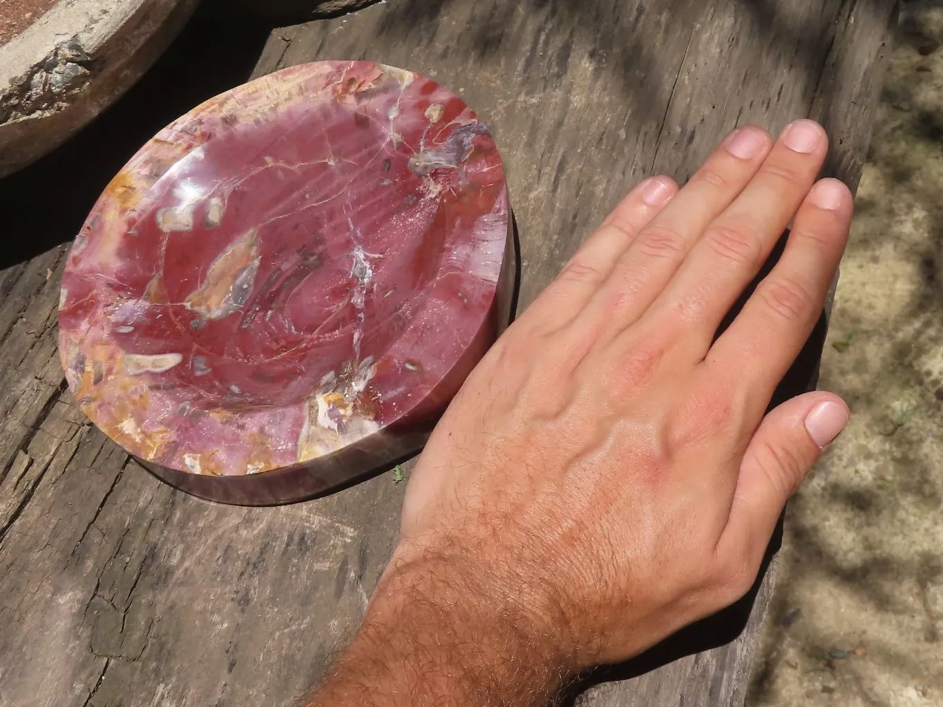 Polished Petrified Red Podocarpus Wood Dish x 1 From Mahajanga, Madagascar