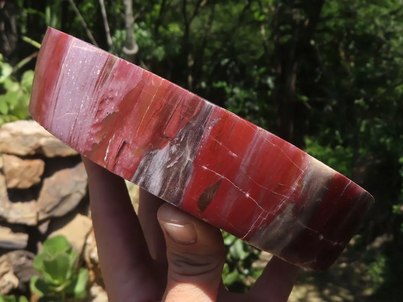 Polished Petrified Red Podocarpus Wood Dish x 1 From Mahajanga, Madagascar