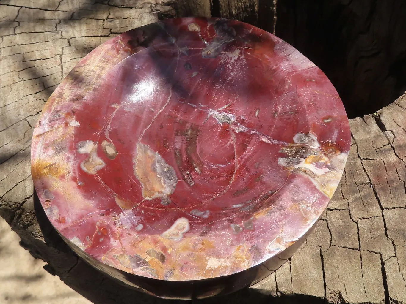 Polished Petrified Red Podocarpus Wood Dish x 1 From Mahajanga, Madagascar
