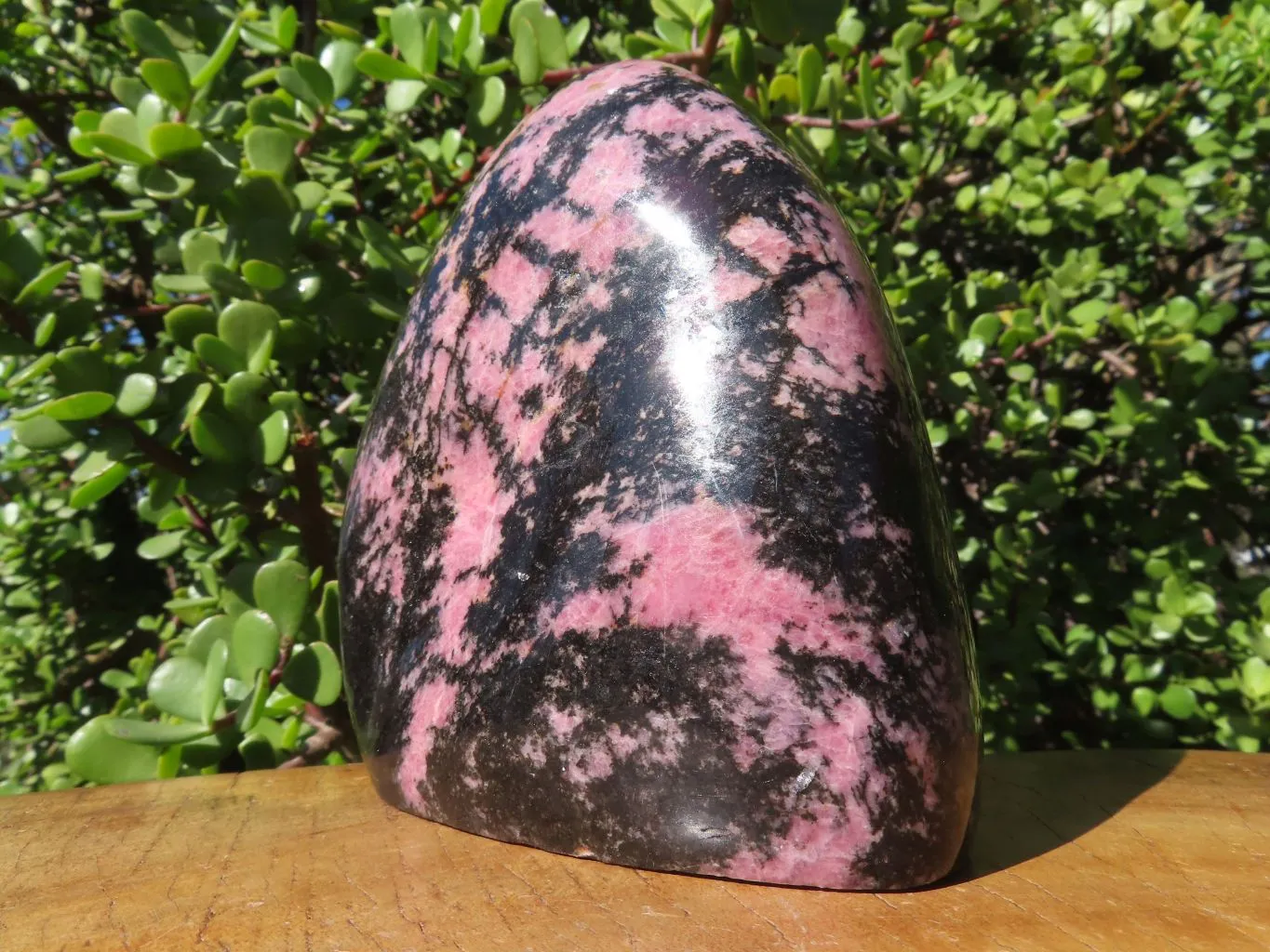 Polished Rhodonite Standing Free Form x 1 From Madagascar