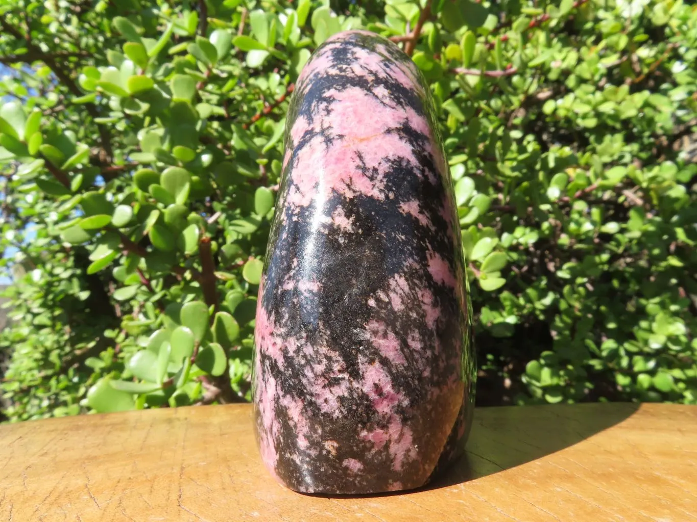 Polished Rhodonite Standing Free Form x 1 From Madagascar