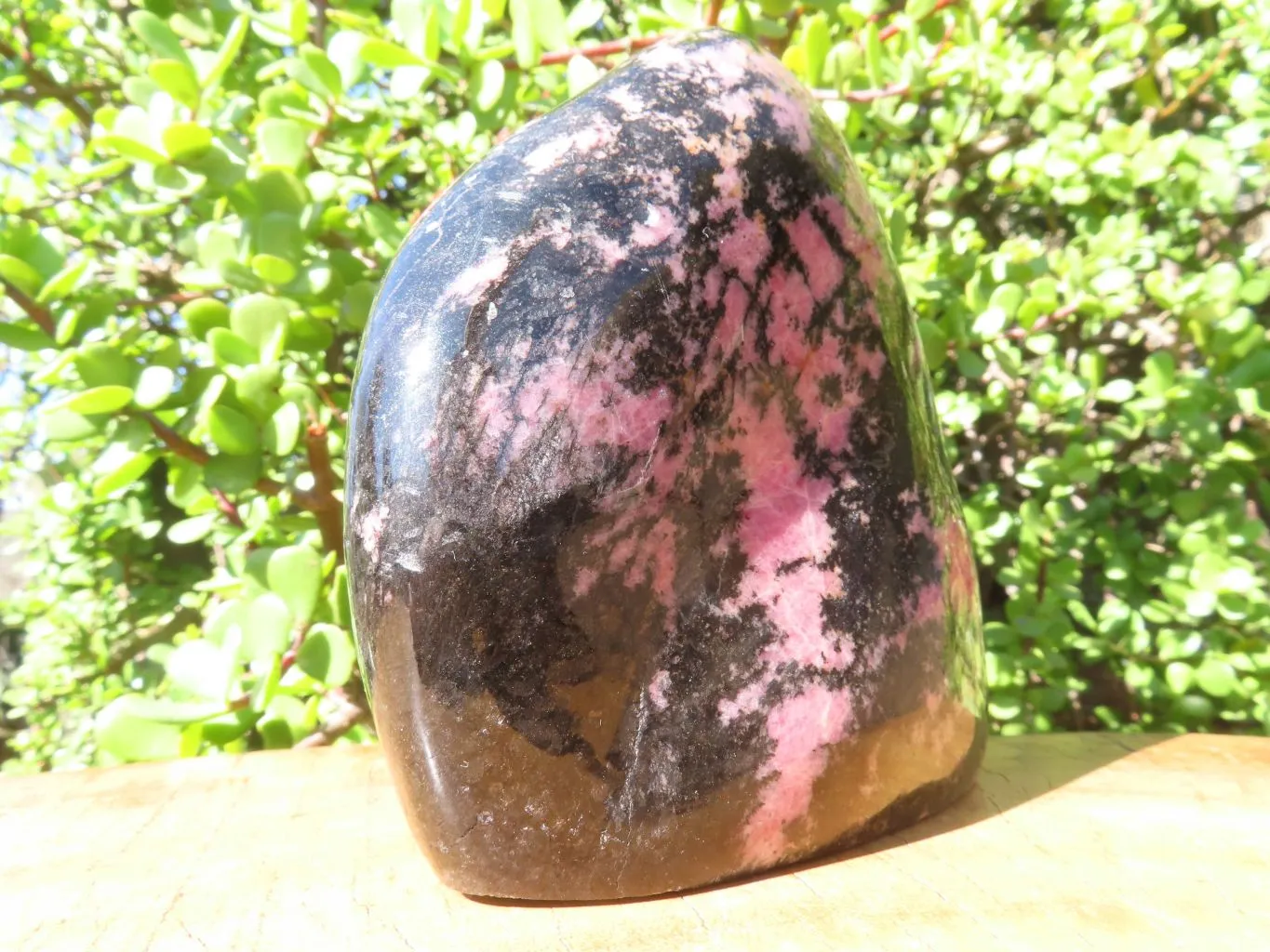 Polished Rhodonite Standing Free Form x 1 From Madagascar