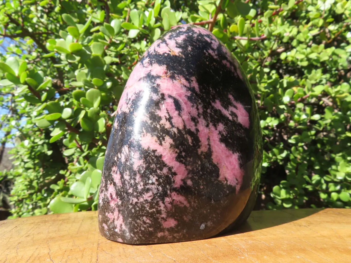 Polished Rhodonite Standing Free Form x 1 From Madagascar