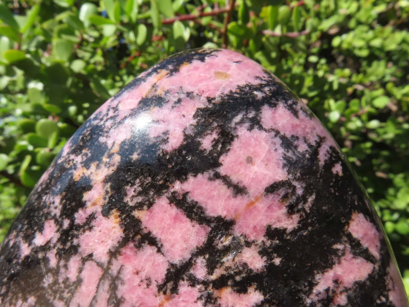 Polished Rhodonite Standing Free Form x 1 From Madagascar