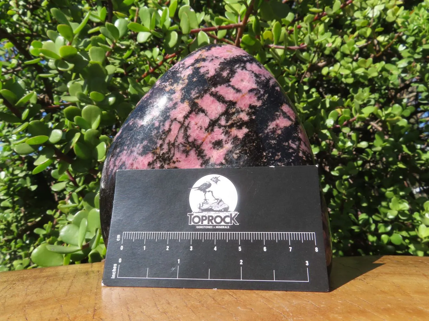 Polished Rhodonite Standing Free Form x 1 From Madagascar