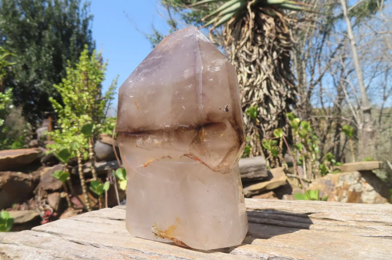 Polished Smokey Window Quartz Sceptre Crystal x 1 From Madagascar