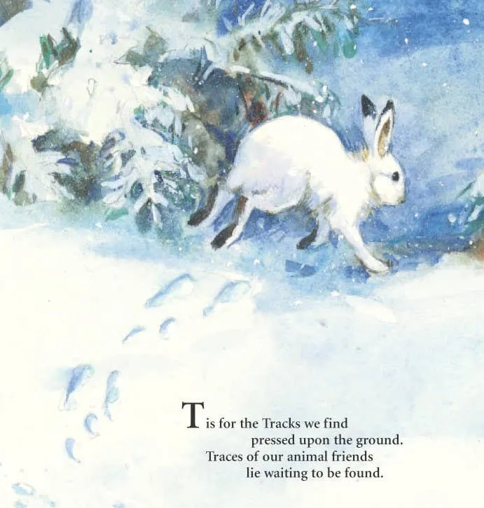 S is for S'mores: A Camping picture book