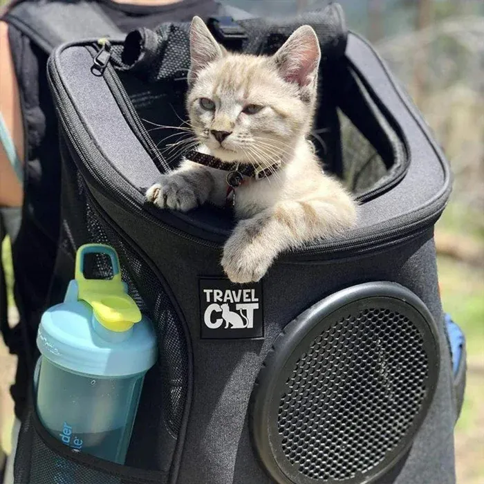 Travel Cat Fat Cat Backpack